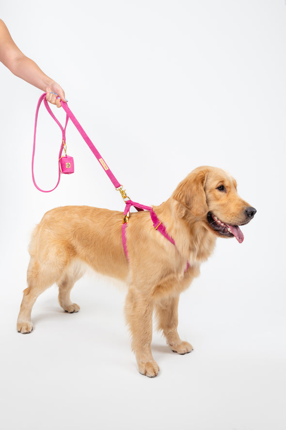 Rose Velvet - Adjustable Strap Dog Harness