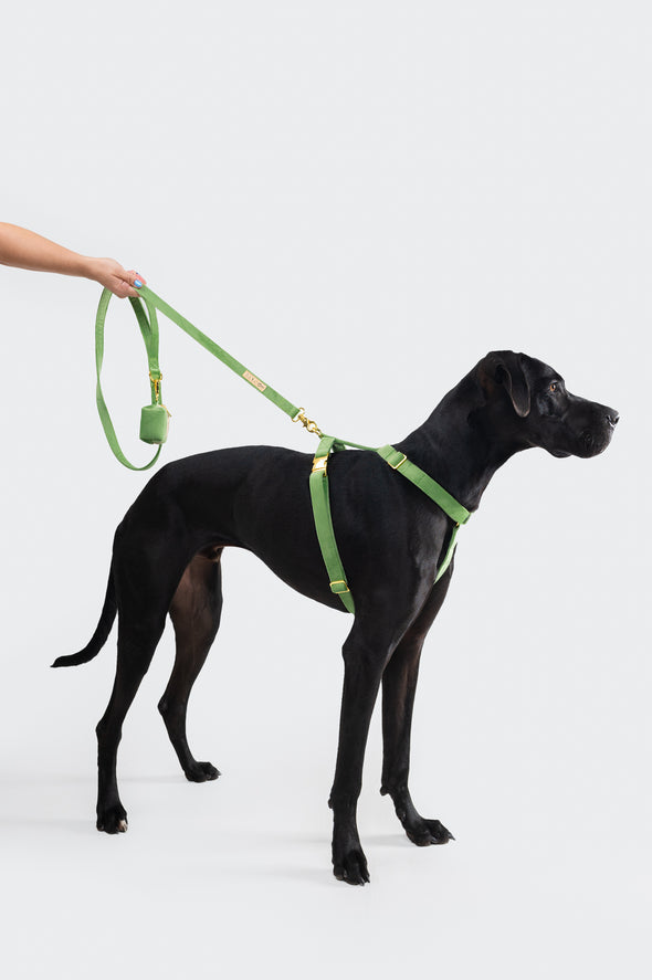 Fern Velvet - Adjustable Strap Dog Harness