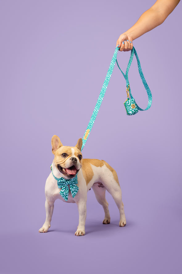 Seaweed Dog Leash FINAL SALE Molly Co