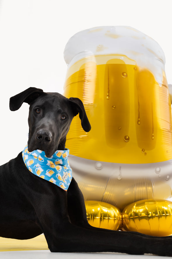 Beers - Reversible Dog Bandana