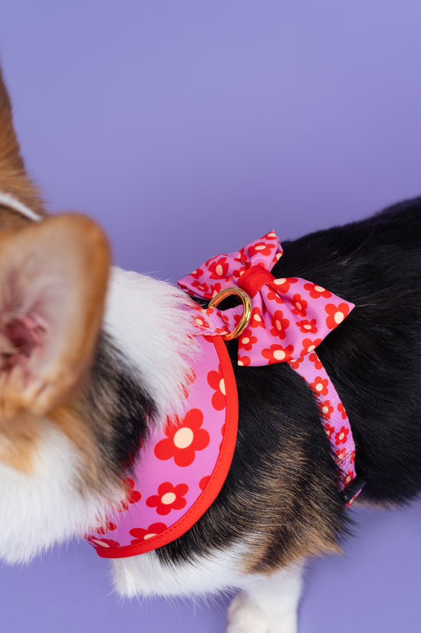 Wildflower - Dog Bowtie