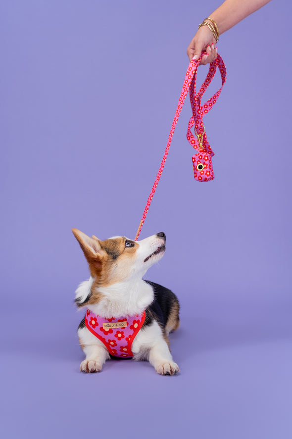 Wildflower - Reversible Dog Harness