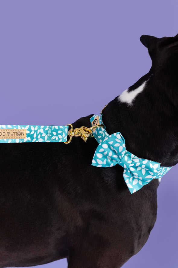 Seafoam - Dog Leash - FINAL SALE