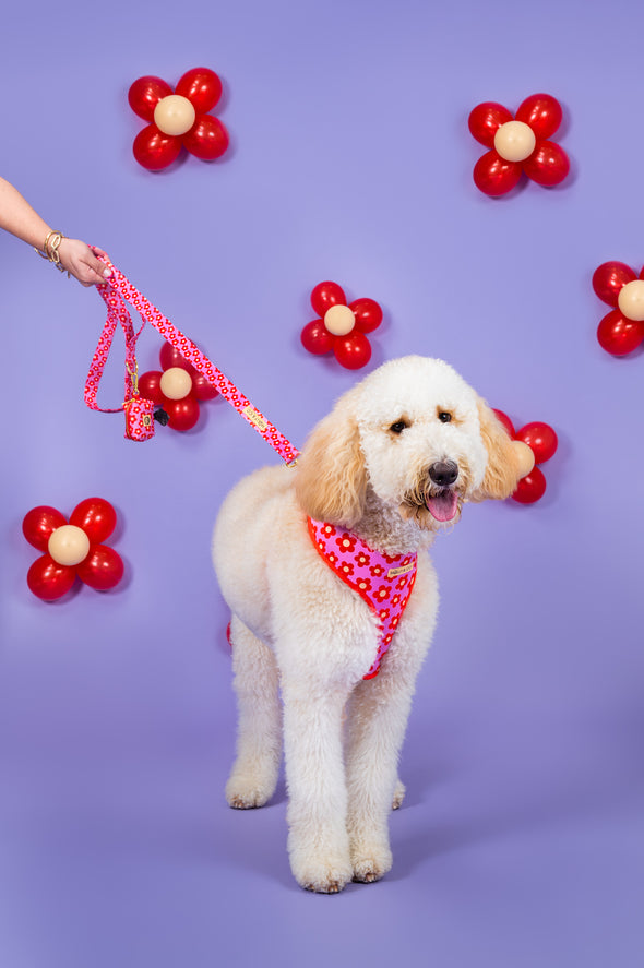 Wildflower - Dog Poop Bag Holder