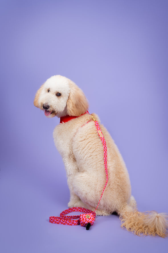 Wildflower - Dog Poop Bag Holder