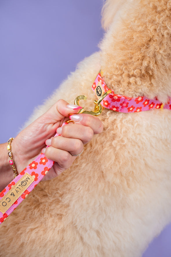 Wildflower - Dog Leash