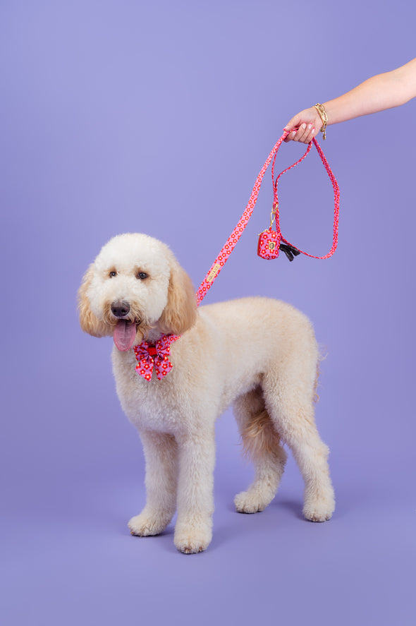 Wildflower - Dog Sailor Bowtie