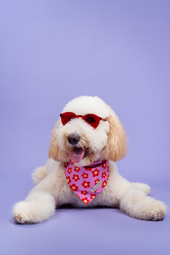 Wildflower - Reversible Dog Bandana