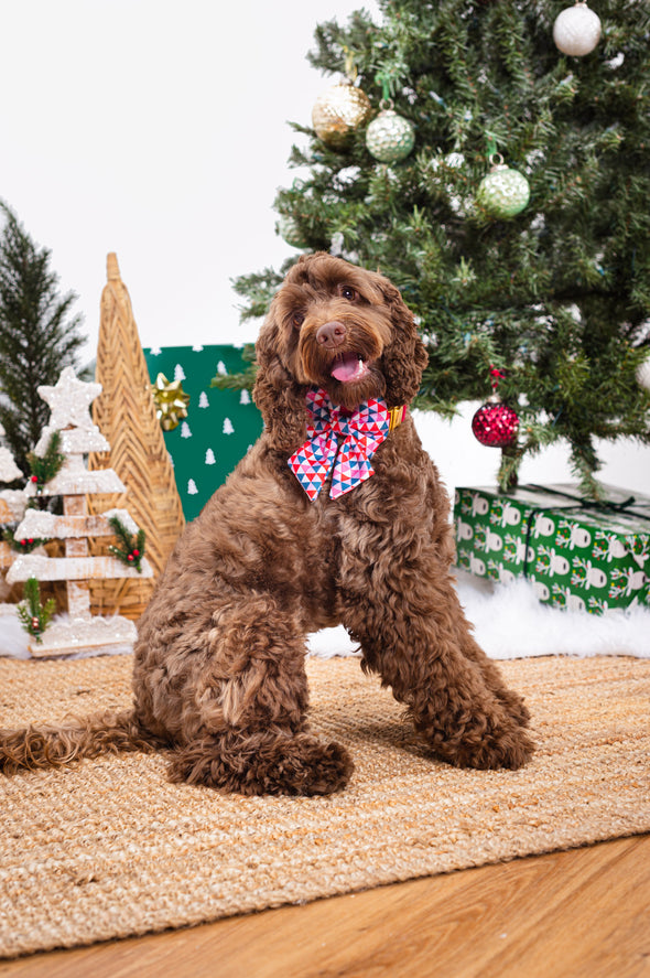 Merry - Dog Sailor Bowtie