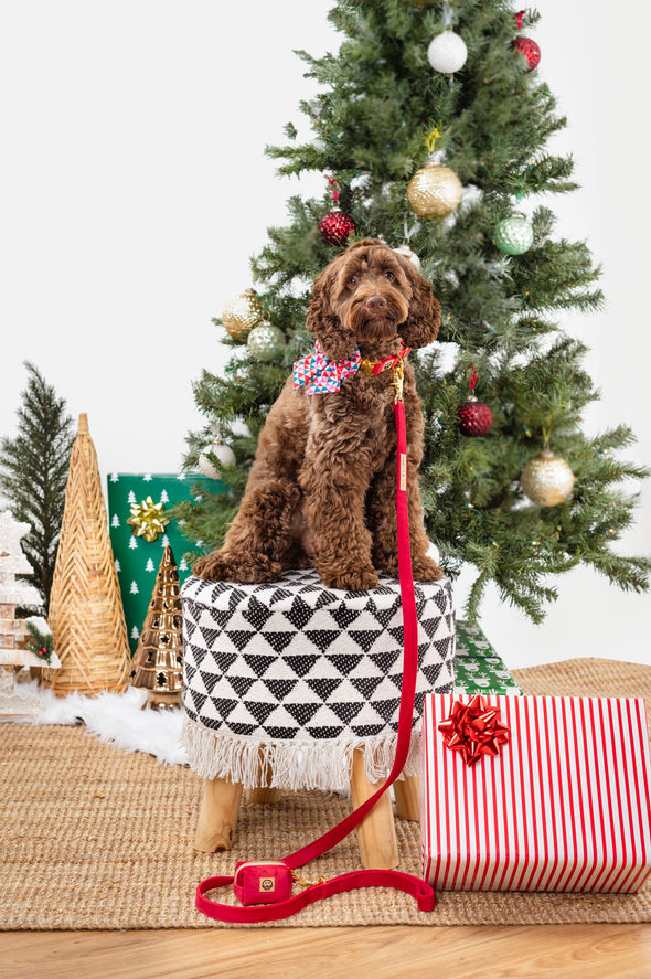 Merry - Dog Sailor Bowtie