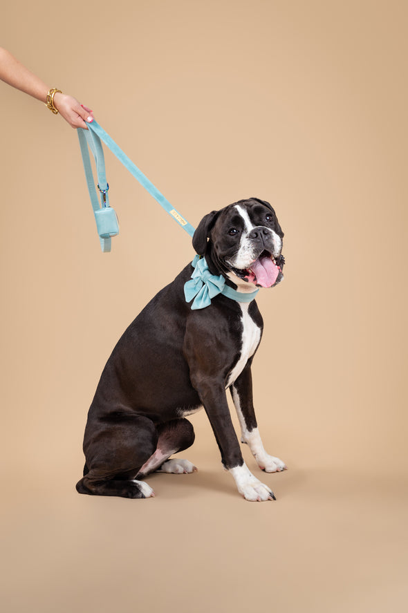 Molly Velvet - Dog Sailor Bowtie