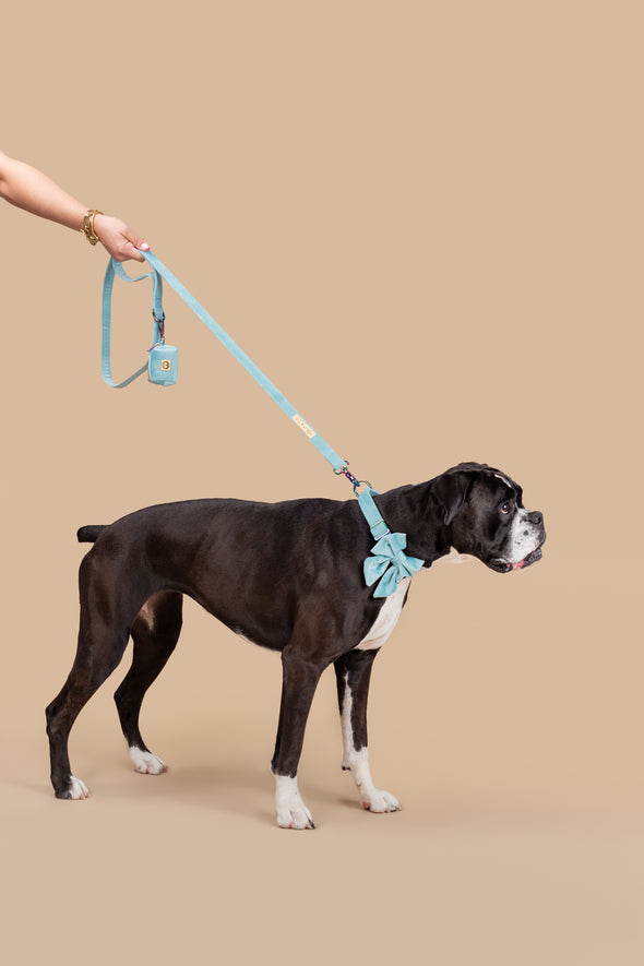 Molly Velvet - Dog Poop Bag Holder