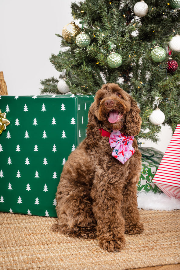 Reindeers - Dog Sailor Bowtie