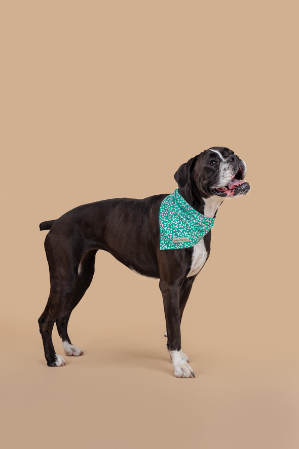 Seafoam - Reversible Dog Bandana - FINAL SALE