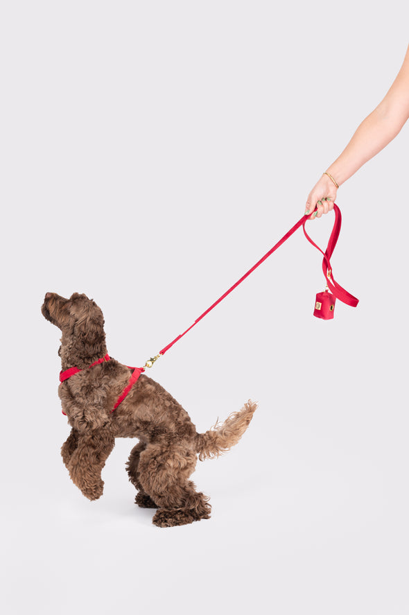 Scarlet Velvet - Dog Leash