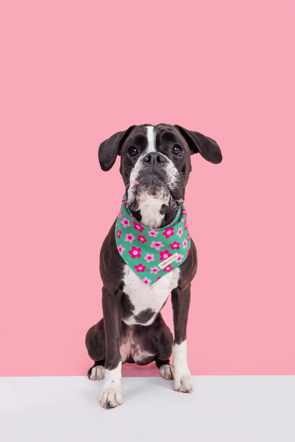 Petunia - Dog Bandana