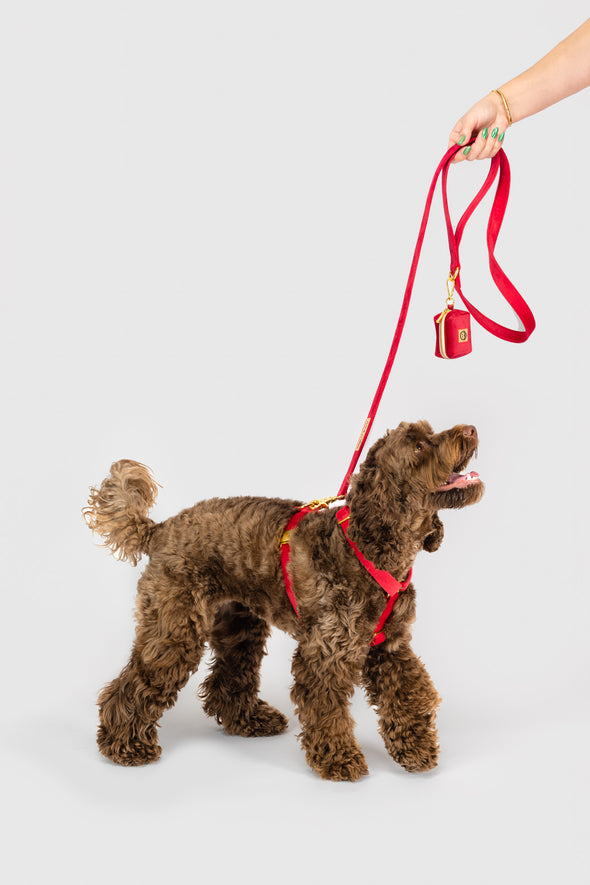 Scarlet Velvet - Dog Leash