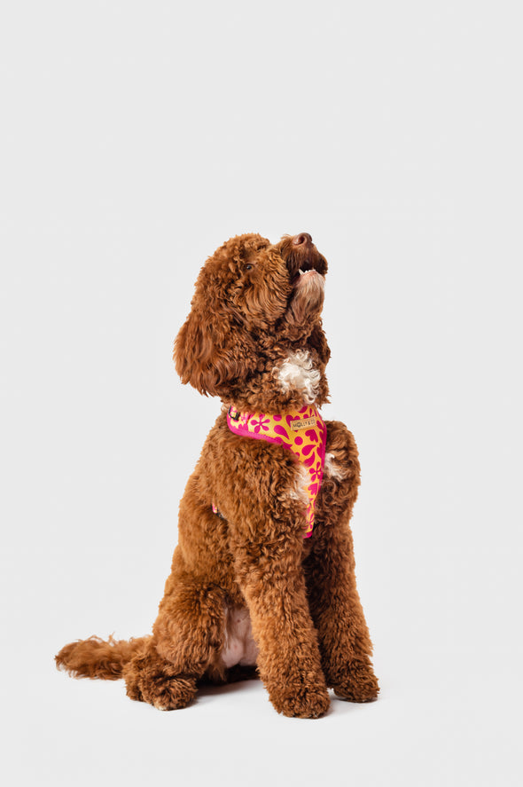 Sunny Vibes - Adjustable Dog Harness