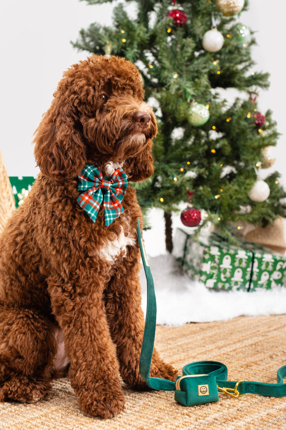 Emerald Velvet - Dog Leash