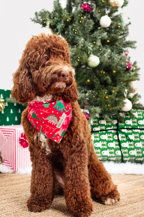 Merry Dinos - Reversible Dog Bandana