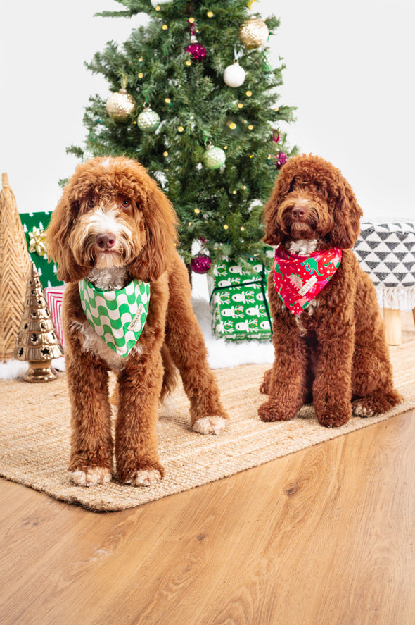 Merry Dinos - Reversible Dog Bandana