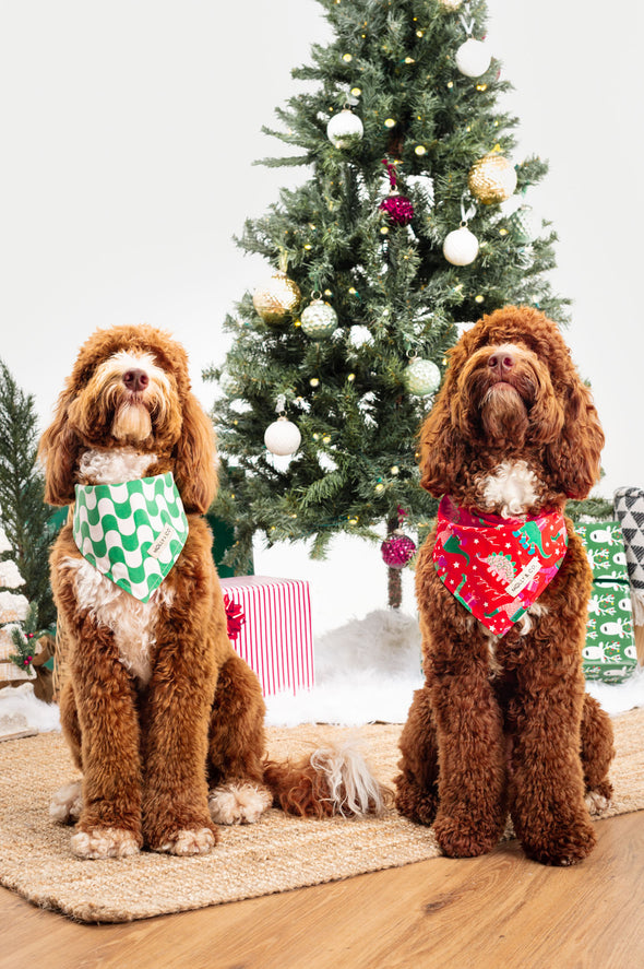 Merry Dinos - Reversible Dog Bandana