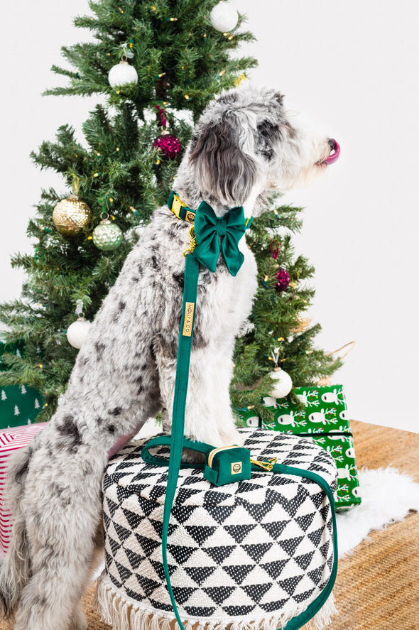 Emerald Velvet - Dog Sailor Bowtie