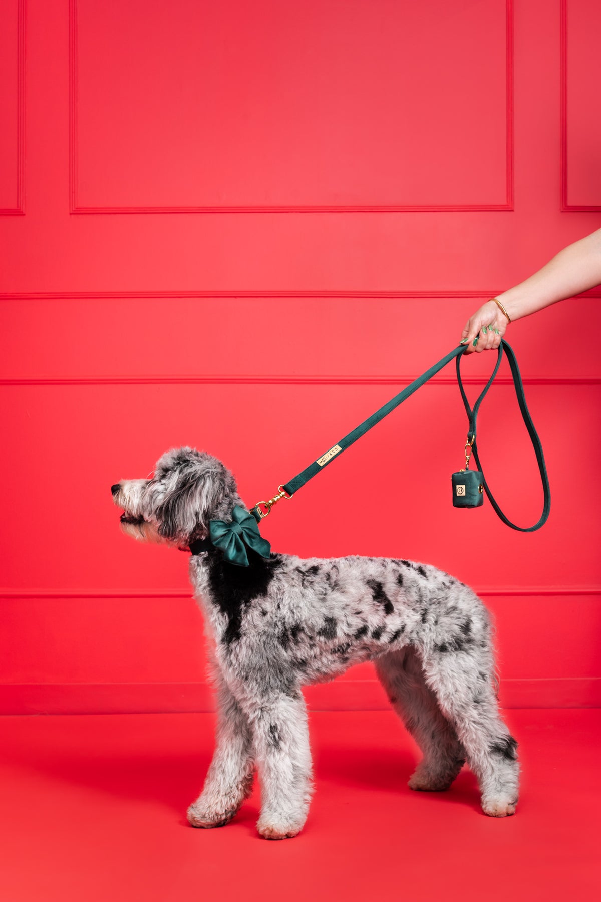 Emerald Velvet - Dog Bowtie