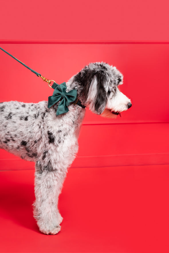 Emerald Velvet - Dog Sailor Bowtie