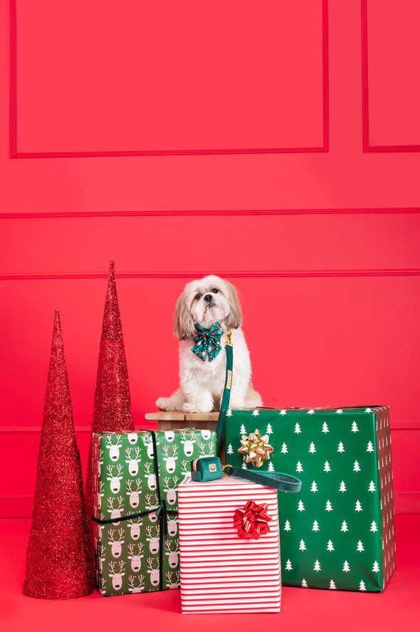 Santa - Dog Sailor Bowtie