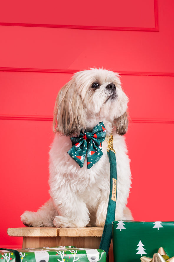 Santa - Dog Sailor Bowtie