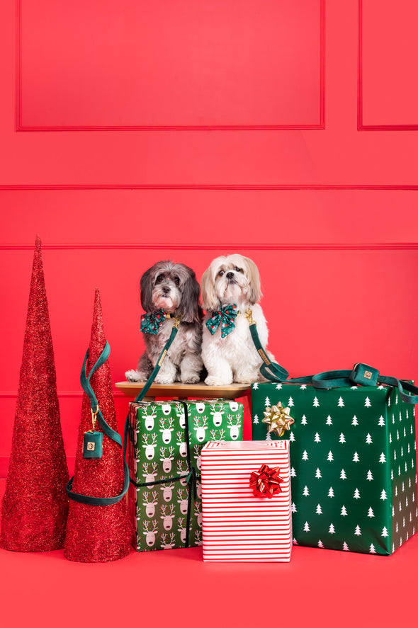 Santa - Dog Sailor Bowtie