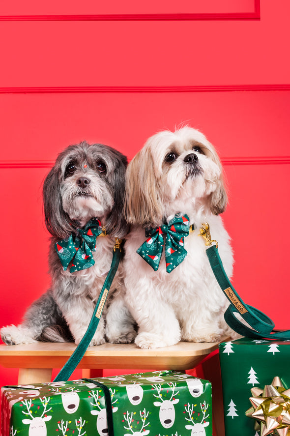 Santa - Dog Sailor Bowtie