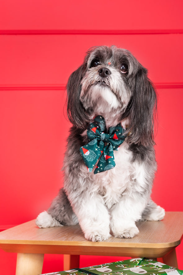 Santa - Dog Sailor Bowtie