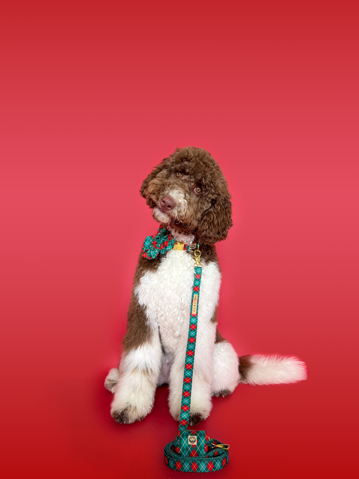 Deluxe Bundle - Evergreen Argyle