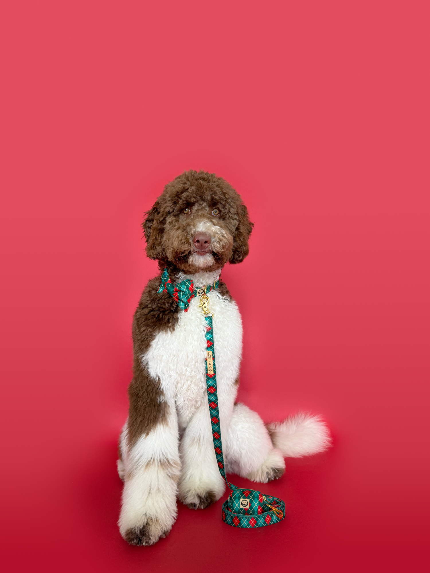 Evergreen Argyle - Dog Leash