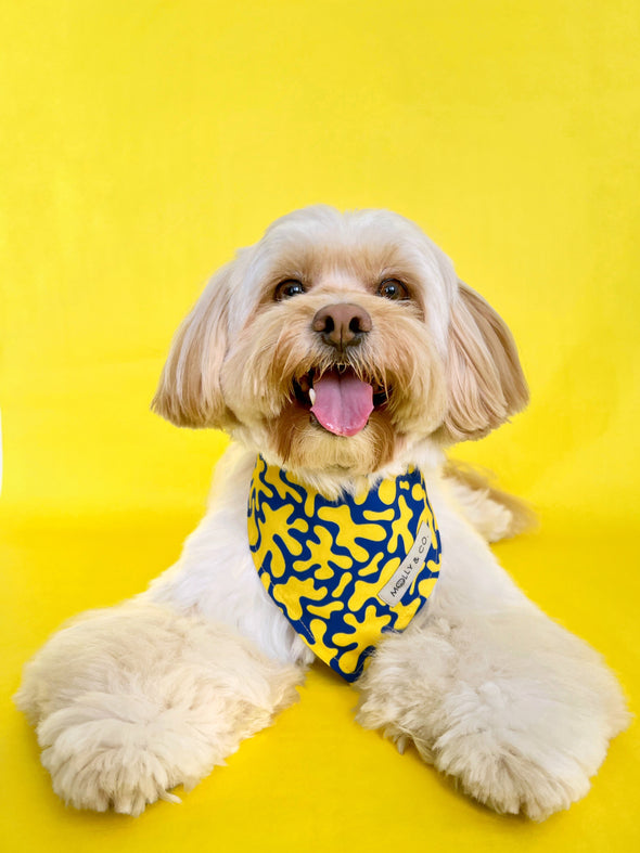 Neptune - Reversible Dog Bandana