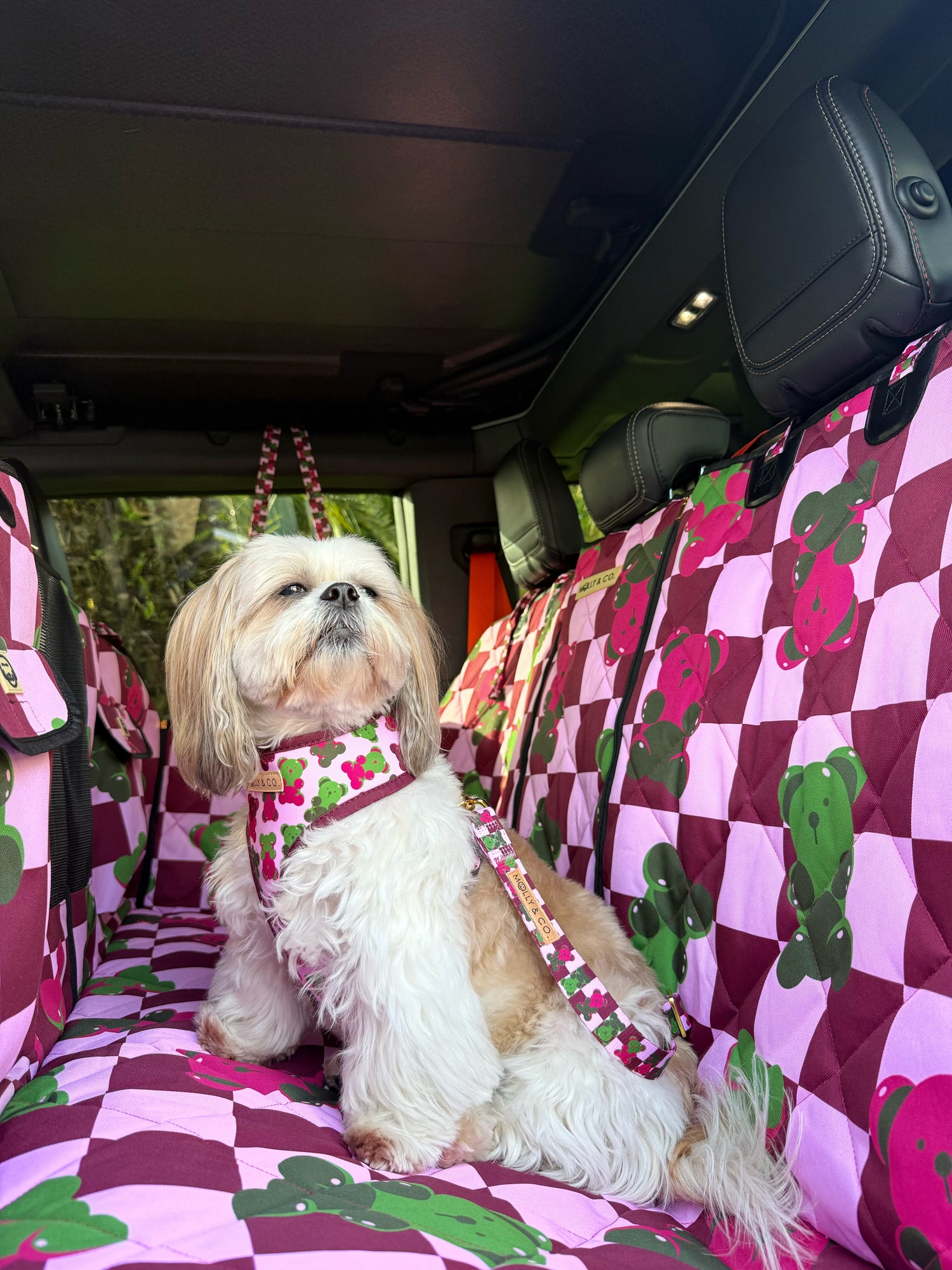Gummy Bears - Dog Seatbelt