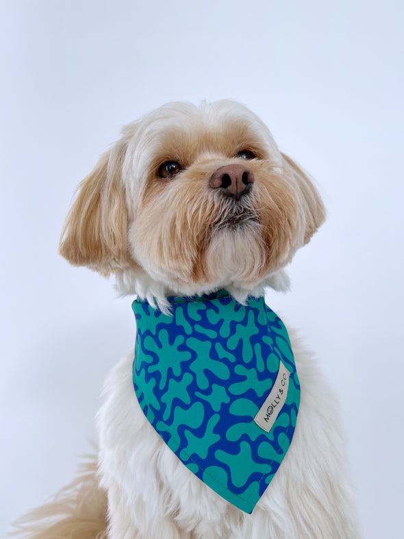 Neptune - Reversible Dog Bandana