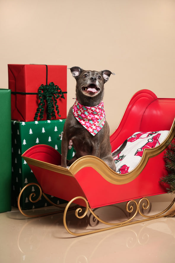 Rosewood Tartan + Gingerbread - Reversible Dog Bandana