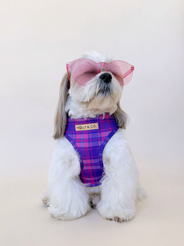 Pinkberry Plaid - Adjustable Dog Harness