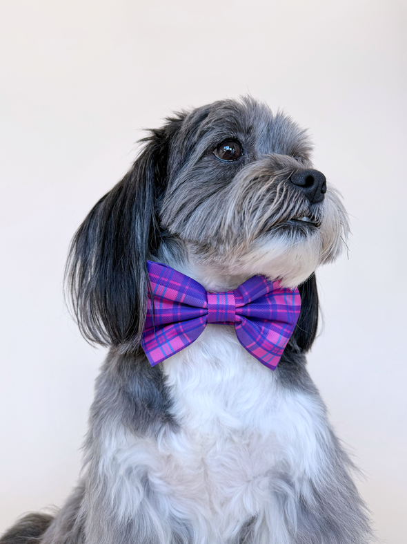 Pinkberry Plaid - Dog Bowtie