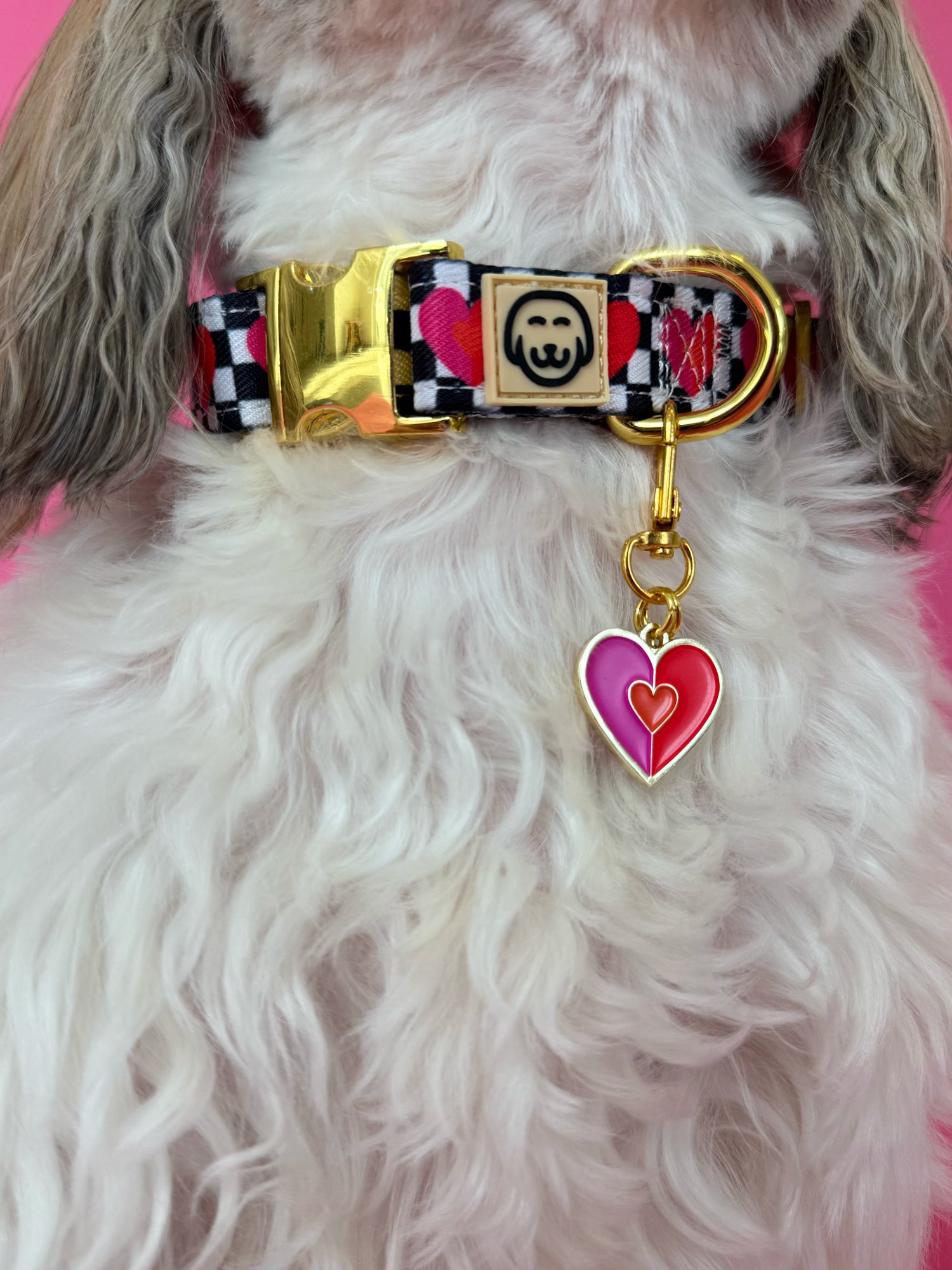 Lovebug - Collar Charm