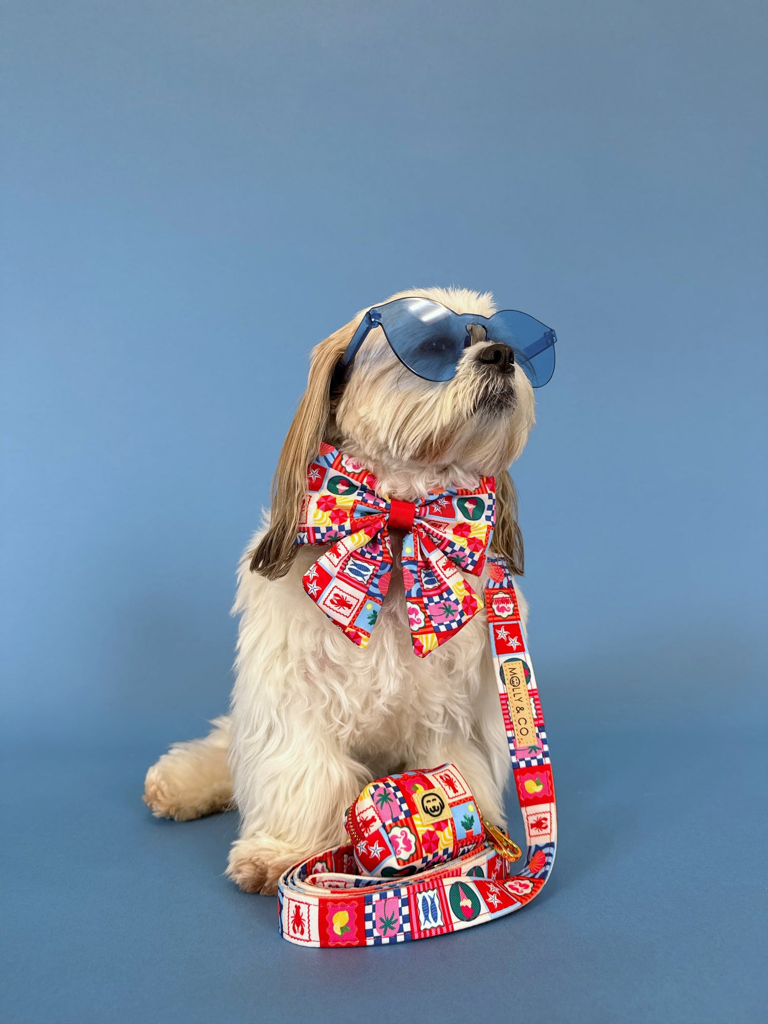 Amalfi - Dog Leash