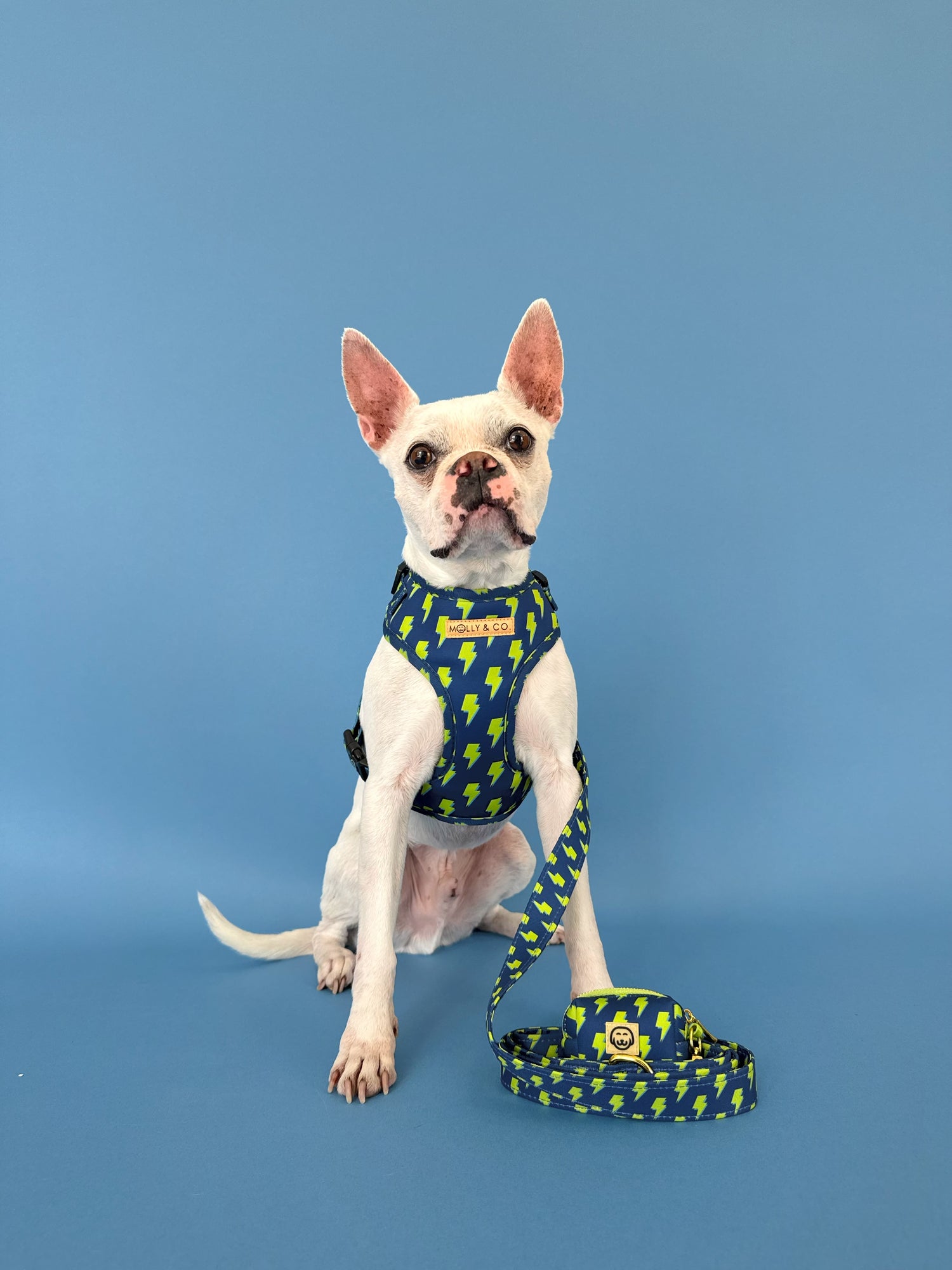 Bolt - Dog Poop Bag Holder