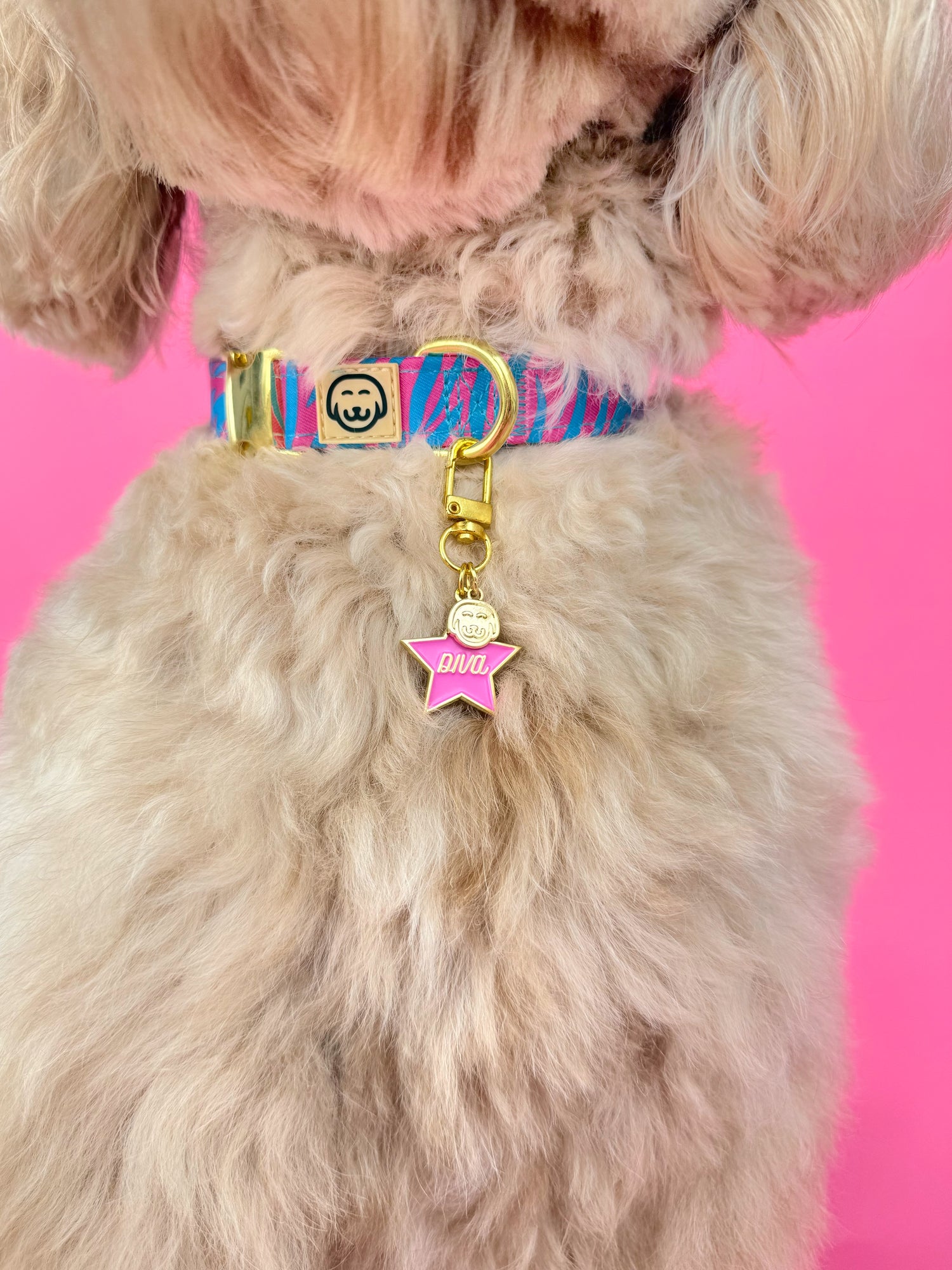 Diva - Collar Charm