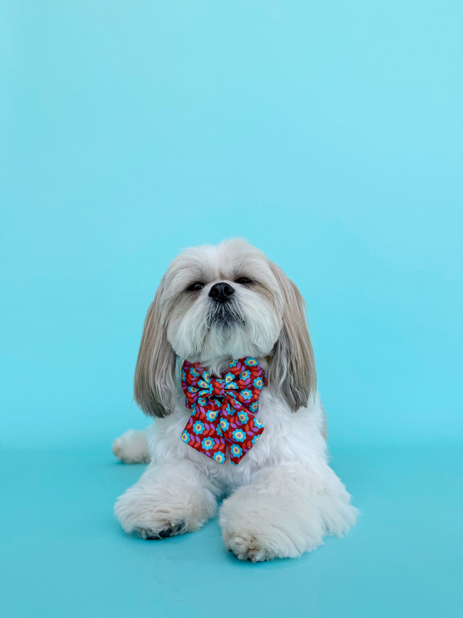 Poppy - Dog Sailor Bowtie