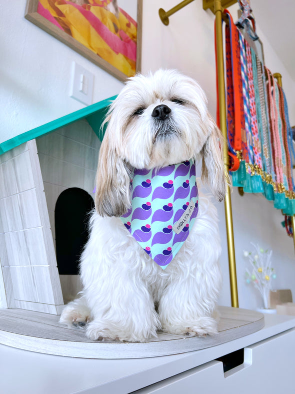 Sandy - Dog Bandana