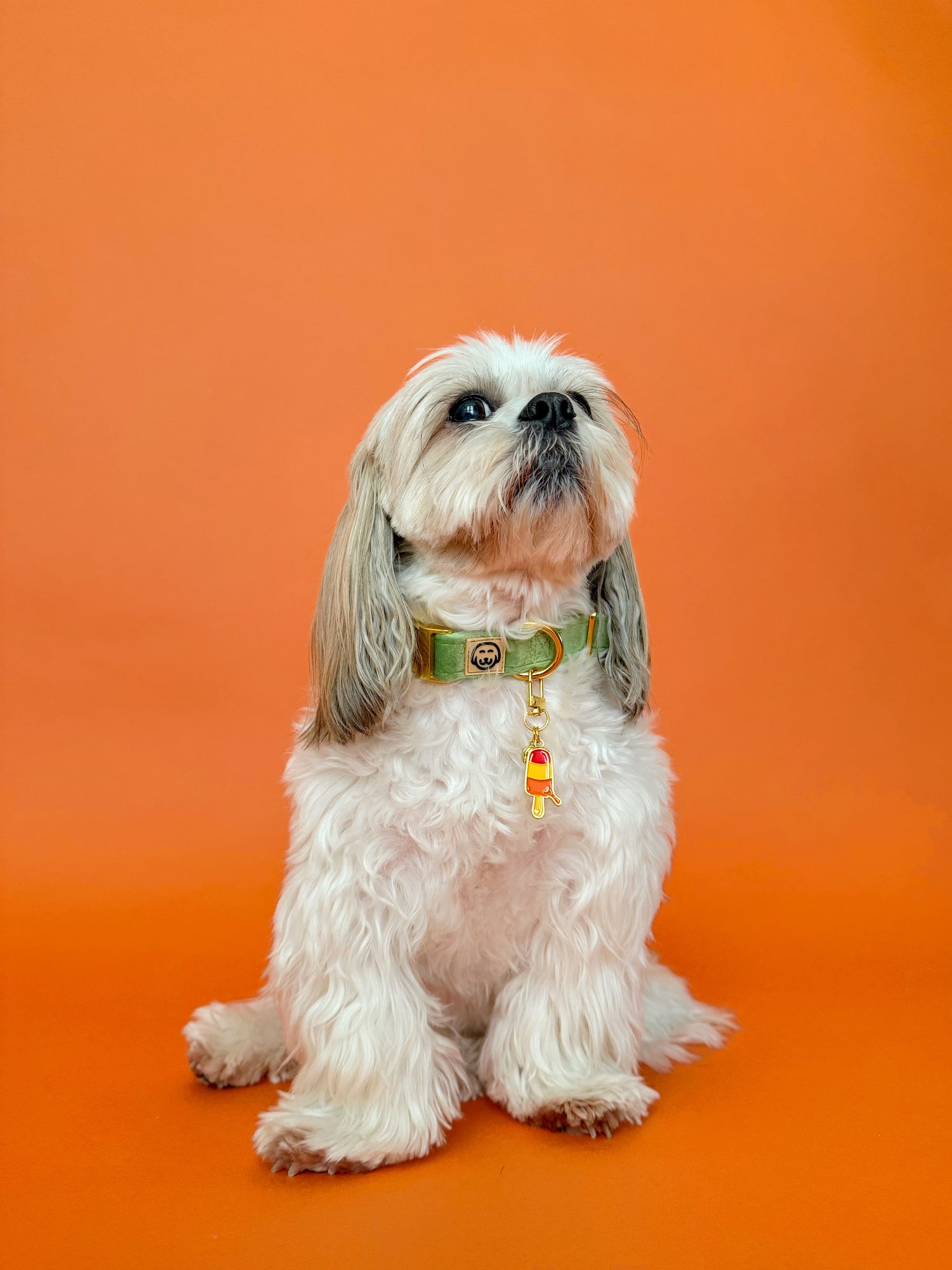 Popsicle - Collar Charm