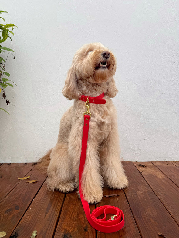 Ruby Red - Splashproof Dog Collar